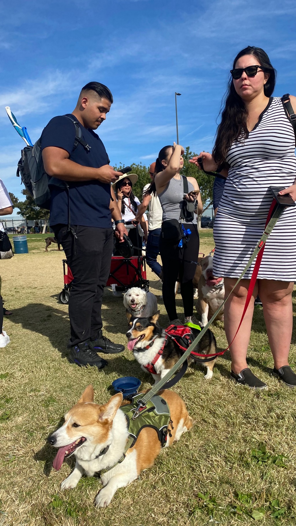 Paws In the Park 2023, November 2023