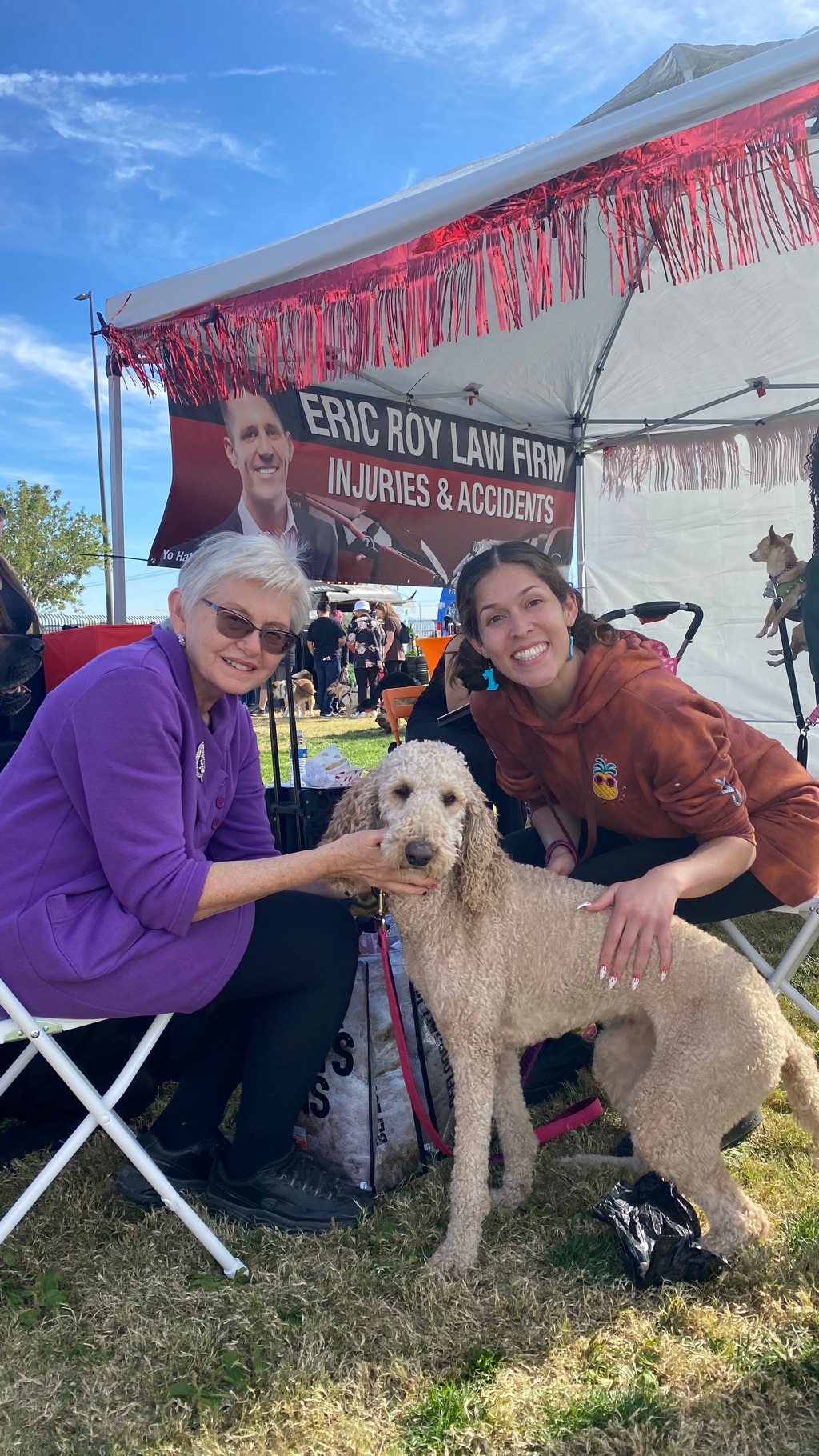Paws In the Park 2023, November 2023