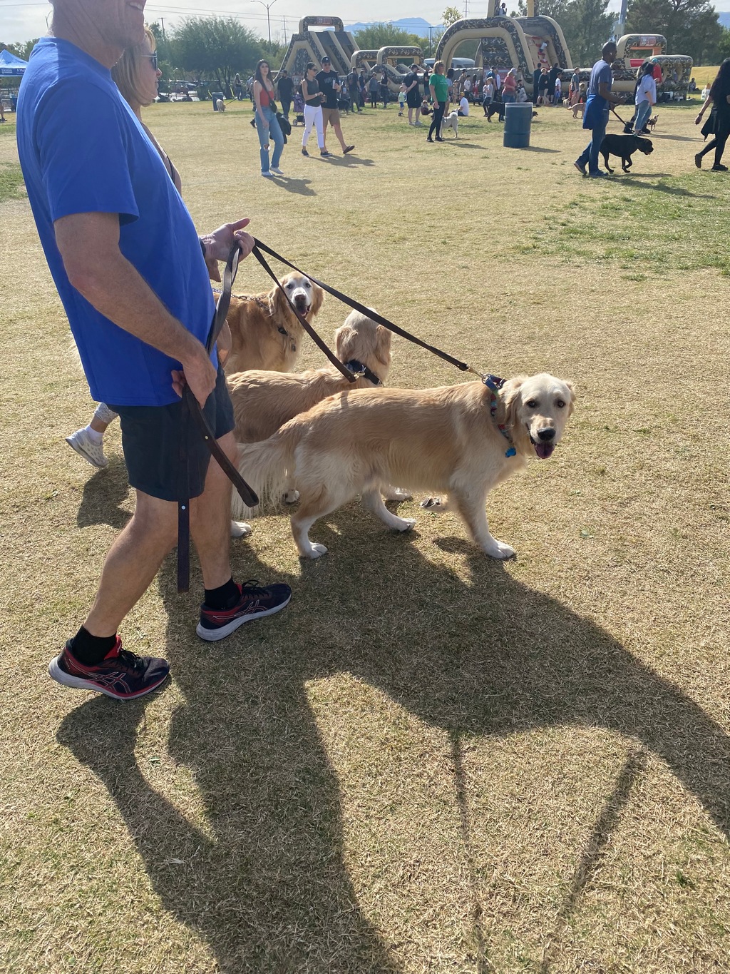 Paws In the Park 2023, November 2023