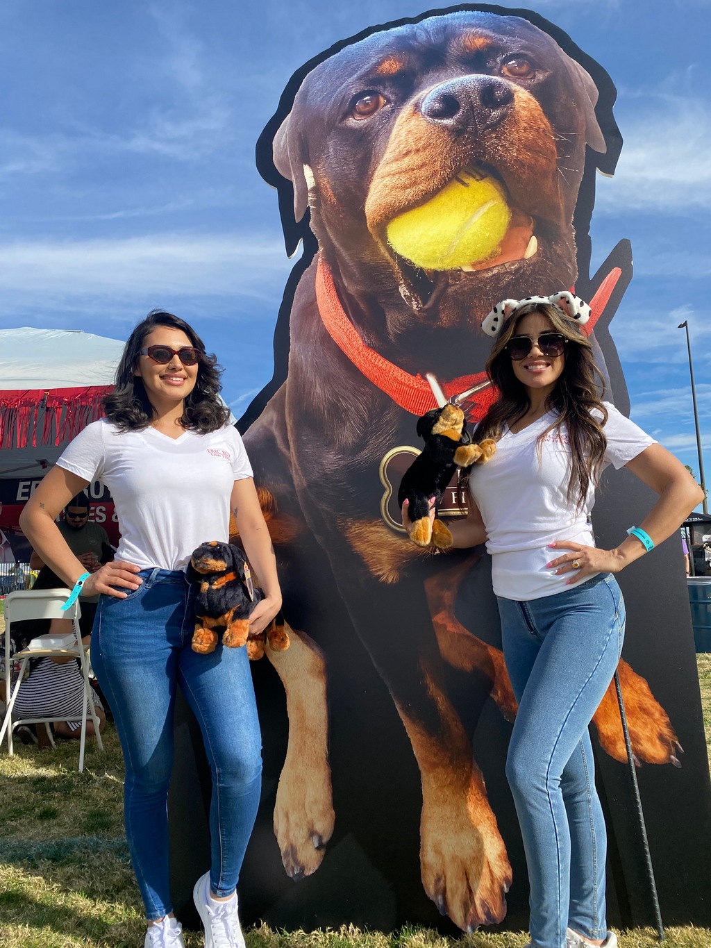 Paws In the Park 2023, November 2023